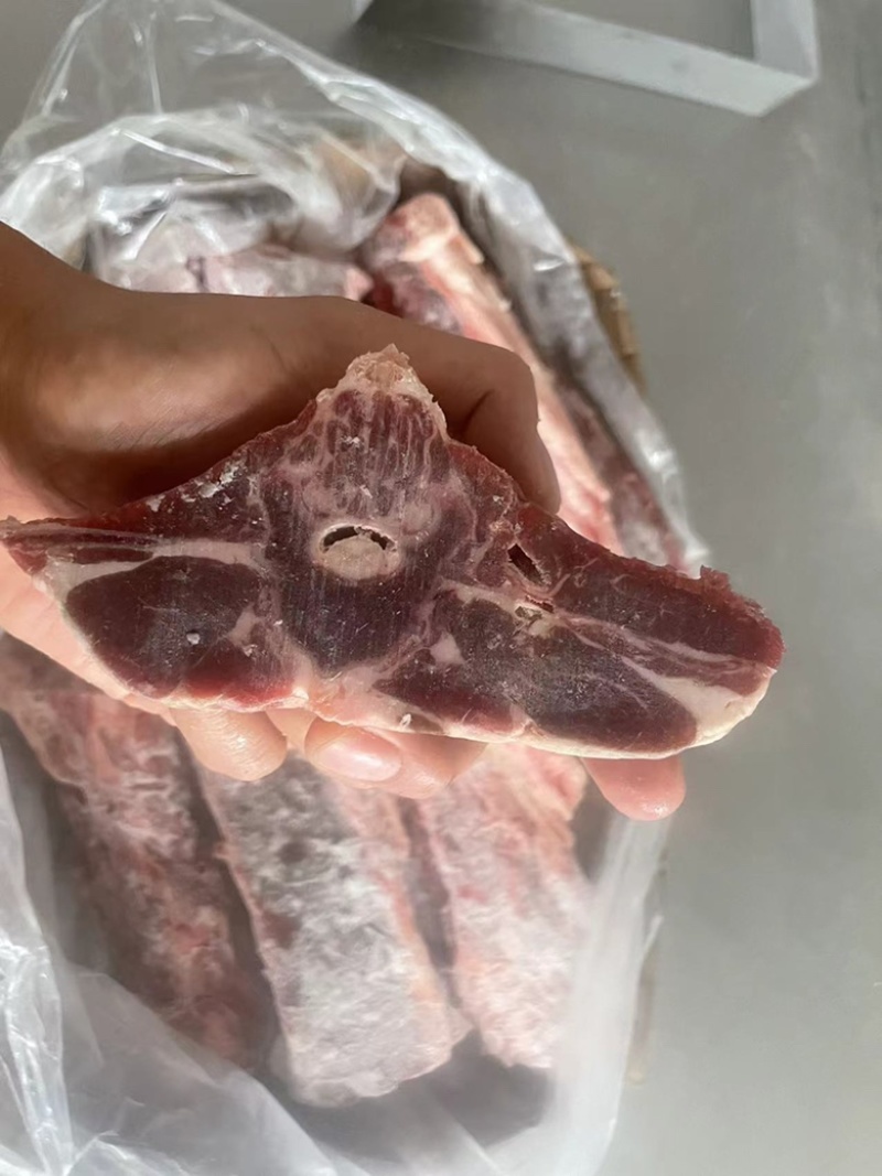 【热卖推荐】满肉大羊羊蝎子，物美质优，一手货源