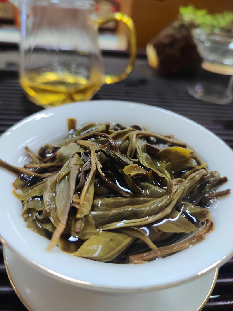 普洱茶生茶散茶冰岛古树茶