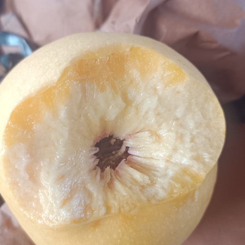 离核黄油桃上市