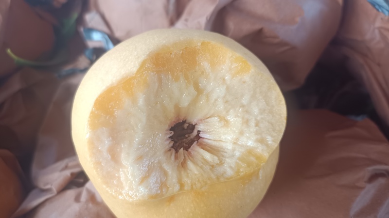 离核黄油桃上市