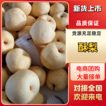 酥梨〔80以上〕保鲜好甜度高保证不黑皮，冷库酥梨，