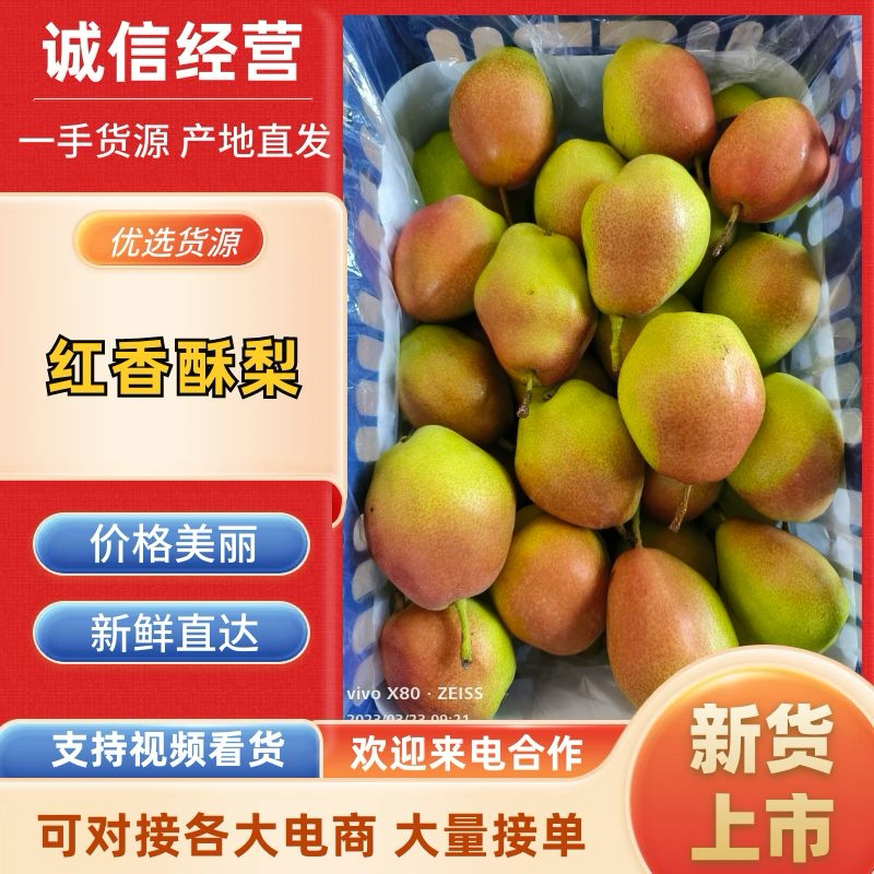 山西临猗红香酥梨，货源充足，口感好，价格低，保证质量脆皮