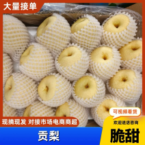 黄土高保证质贡梨，80以上规格齐全，口感甜可口不变质