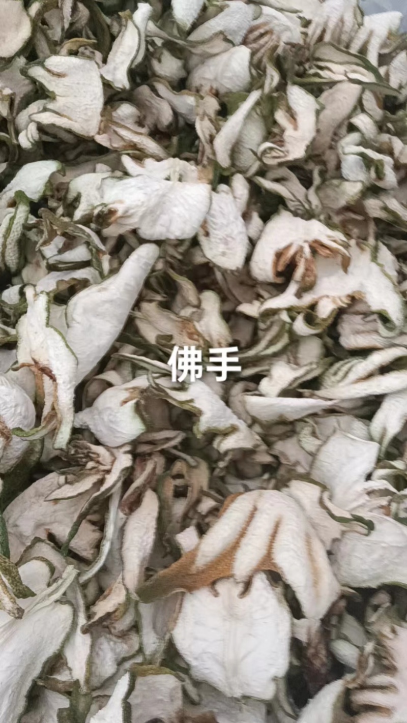 【推荐】佛手质量保证可视频看货对接全国产地直发
