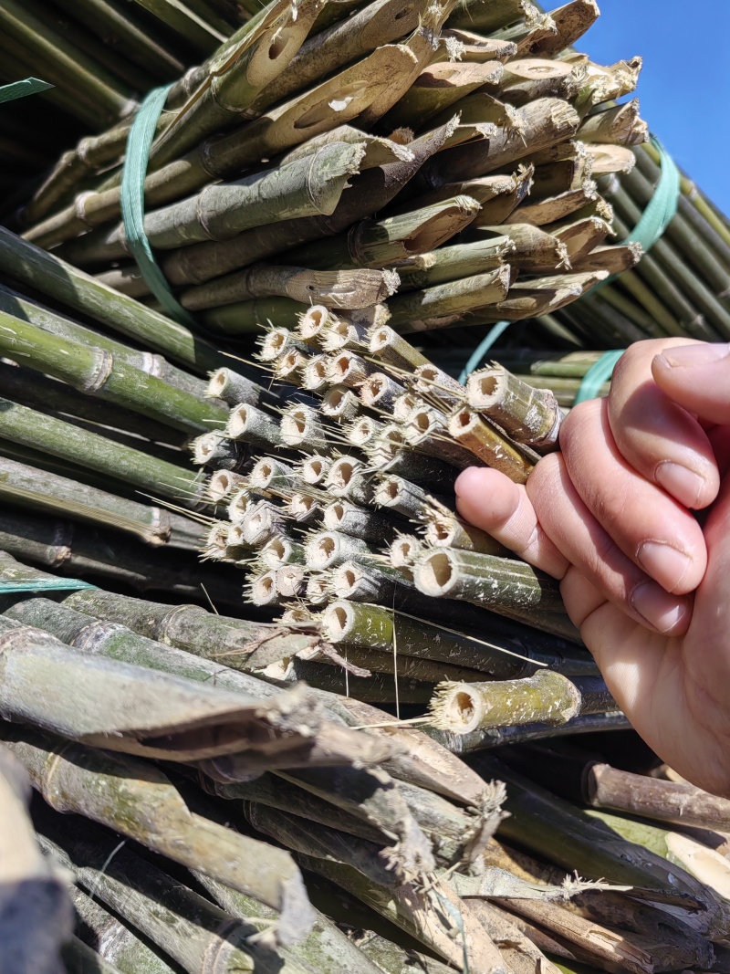 菜价竹，豆角架，大棚竹竿