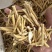 牛大力粉质保庆药业批发实物拍摄！发货如图木质