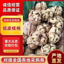 云南纸皮核桃大理漾濞核桃大泡果，皮薄仁饱满，真正纸皮麻子