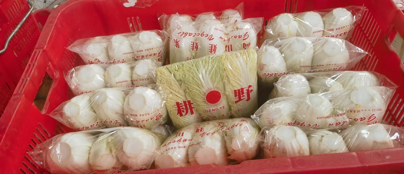 娃娃菜大小娃娃菜大量上市-产地直发-价格优惠