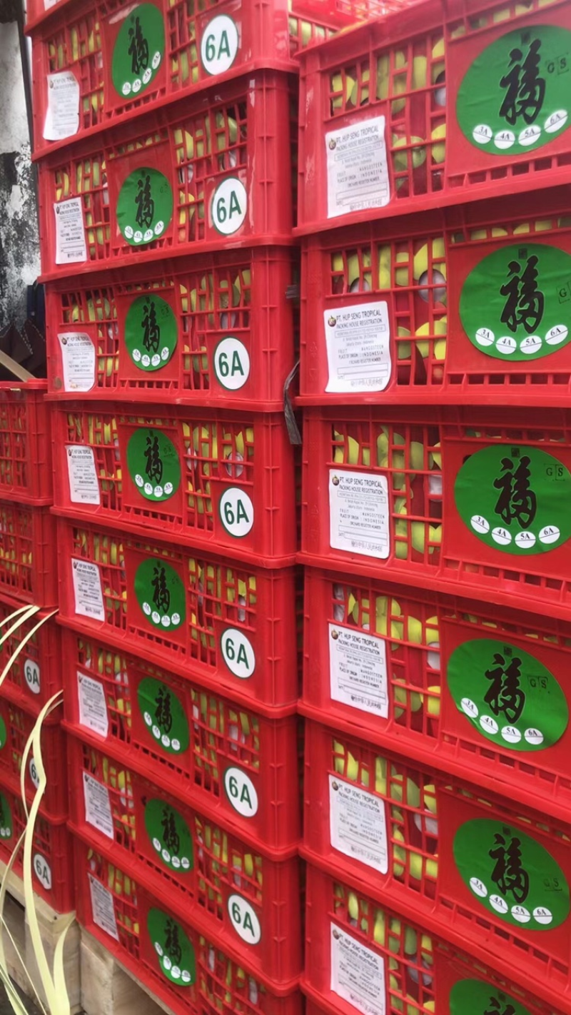 【精品】山竹沙竹山竹原产地直供一手货源代发全国欢迎选购