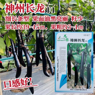 龙盛神州长龙茄子种子细长条型茄子种籽油黑亮丽长茄种子籽少