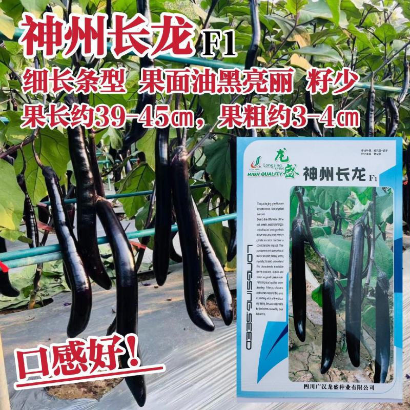 龙盛神州长龙茄子种子细长条型茄子种籽油黑亮丽长茄种子籽少