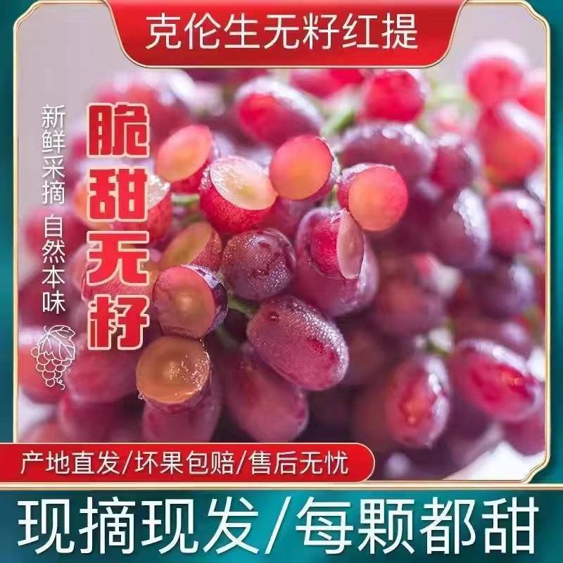 【克伦生】陕西葡萄/自家种植/颗粒饱满/整车发货