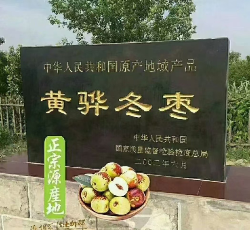 黄骅冬枣，原产地货源，货量充足，果型好，口感好。