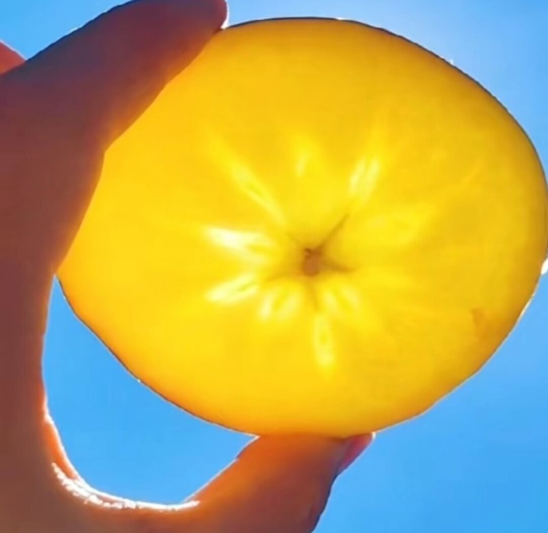 糖心丑苹果