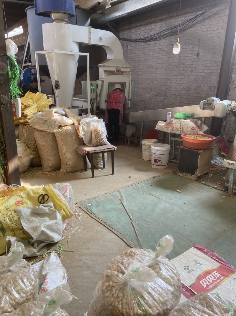 河南商丘花育地铁锅原味炒熟花生炒花生原味炒大花生电商批发