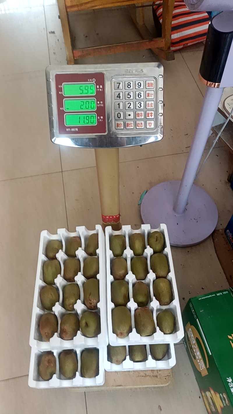 红心猕猴桃