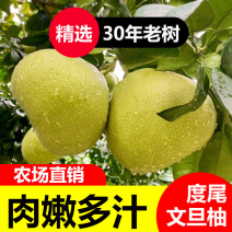 正宗福建度尾文旦柚批发酸甜可口皮薄汁多