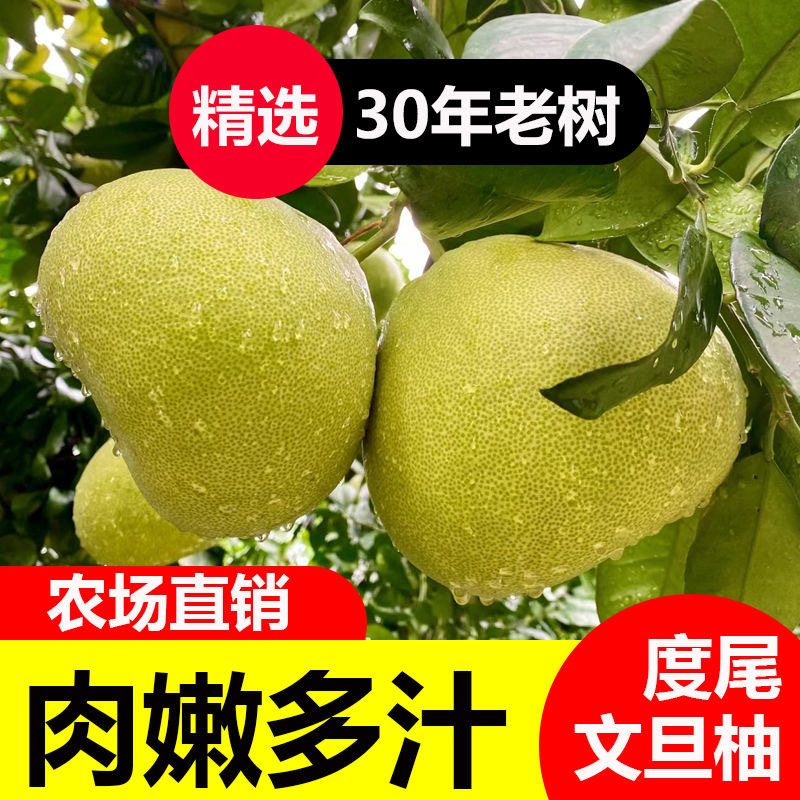 正宗福建度尾文旦柚批发酸甜可口皮薄汁多