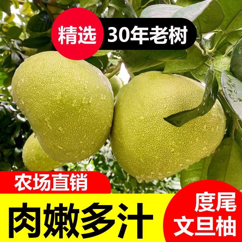 正宗福建度尾文旦柚批发酸甜可口皮薄汁多