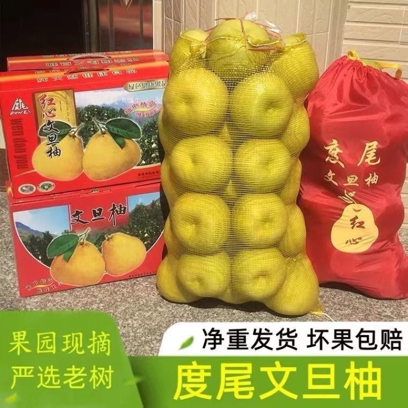 正宗福建度尾文旦柚批发酸甜可口皮薄汁多