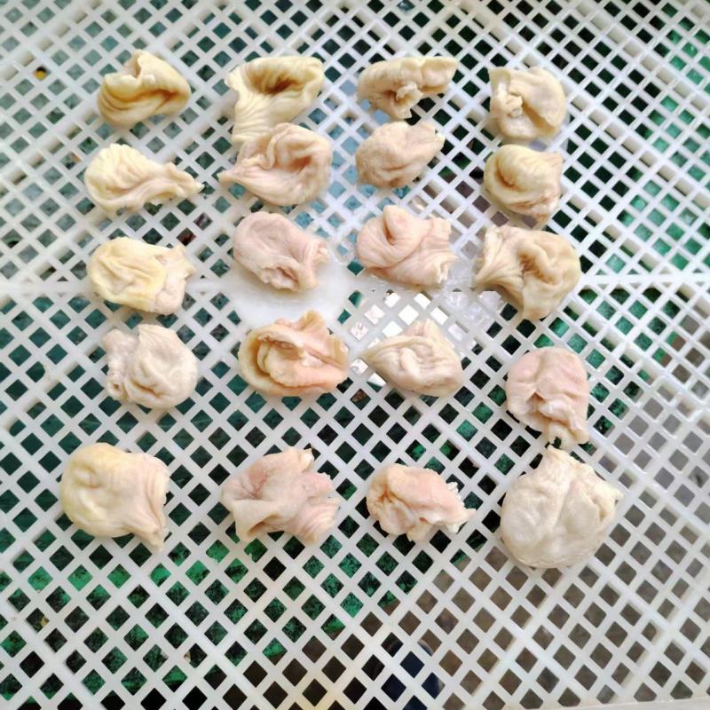 鸡嗉皮/鸡素皮