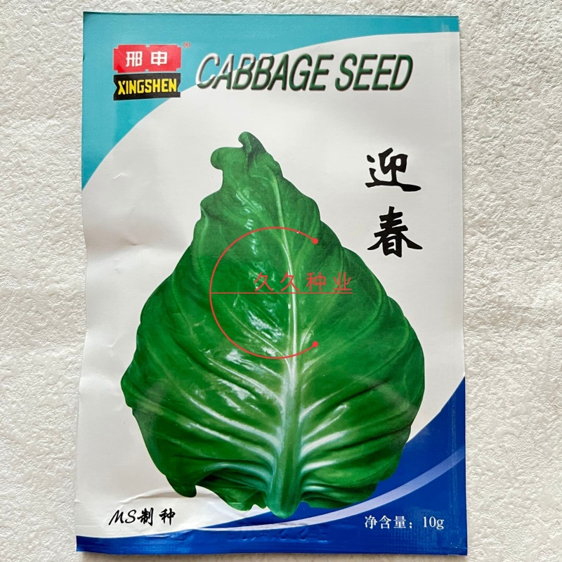 迎春甘蓝种子牛心包菜种子种籽蔬菜卷心菜春秋冬季耐寒蔬菜