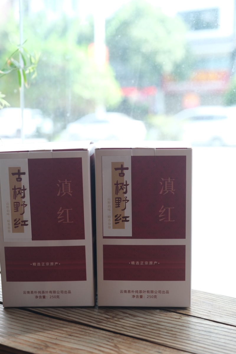 2024年云南凤庆滇红头春头采正宗野生古树红茶