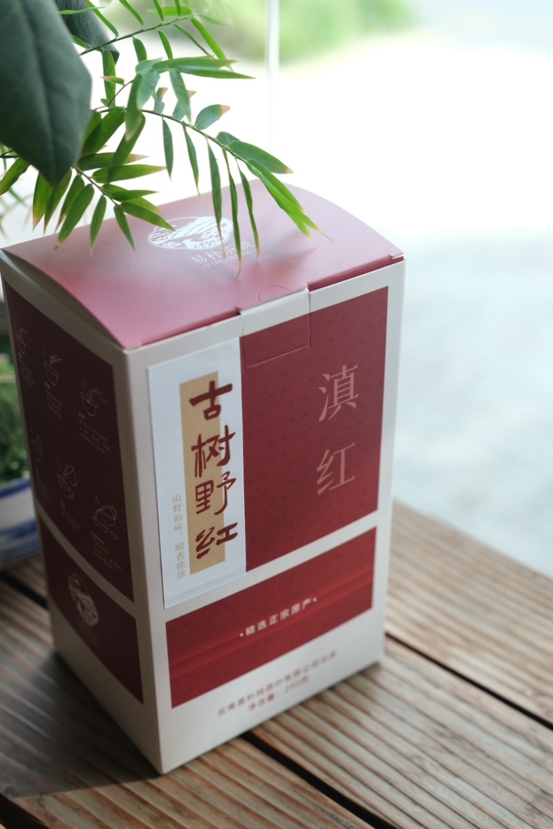 2024年云南凤庆滇红头春头采正宗野生古树红茶