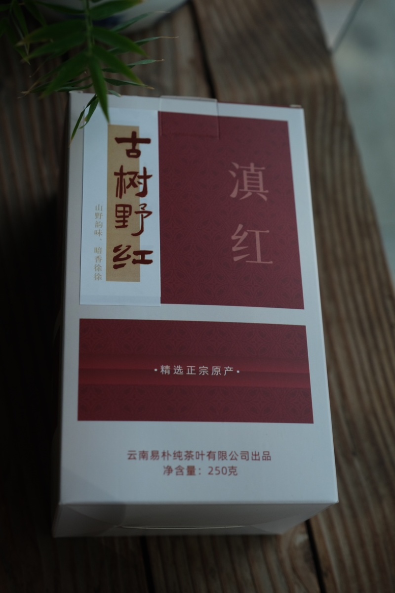 2024年云南凤庆滇红头春头采正宗野生古树红茶