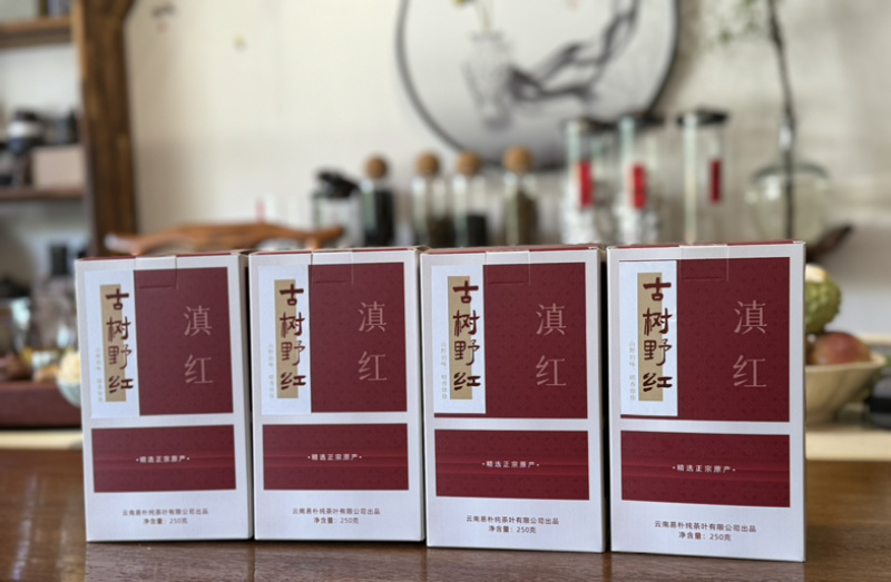 2024年云南凤庆滇红头春头采正宗野生古树红茶