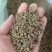 大红袍花椒香麻干红花椒调味料家用火锅商用花椒粒干