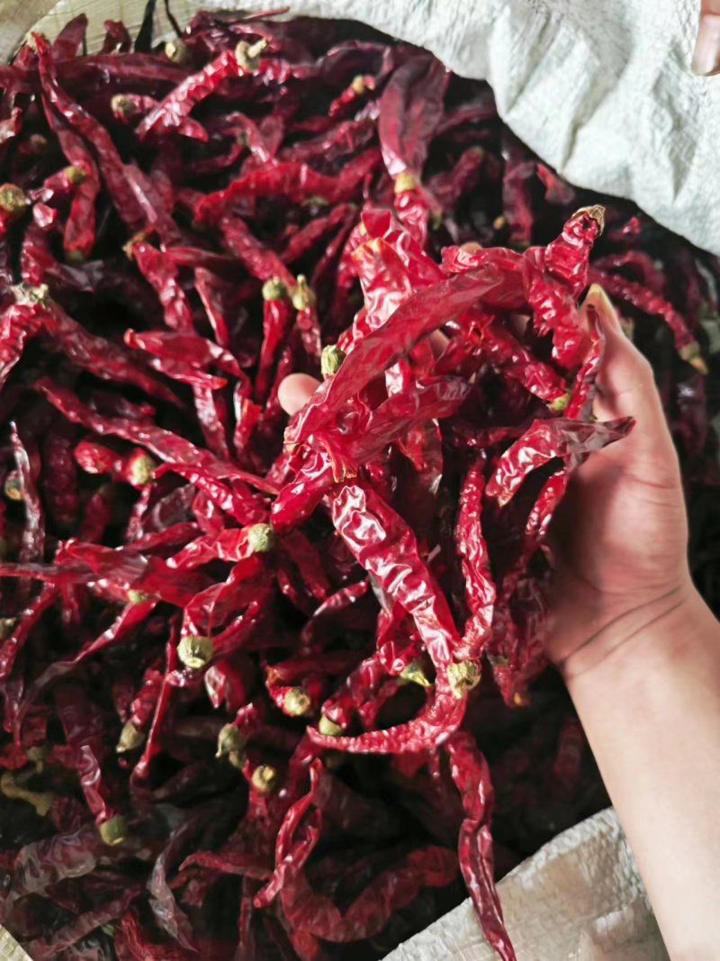 二荆条干辣椒，大量有货产地一手货源，量大优惠