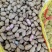 精品现挖罗汉果花生鲜花生开始上市产地直供联系