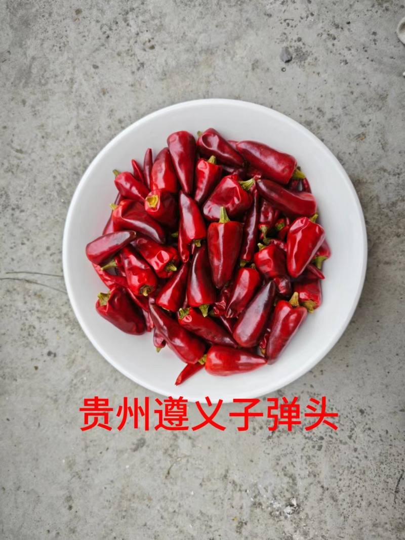 贵州子弹头干辣椒上市，量大优惠，可以视频看货，欢迎合作