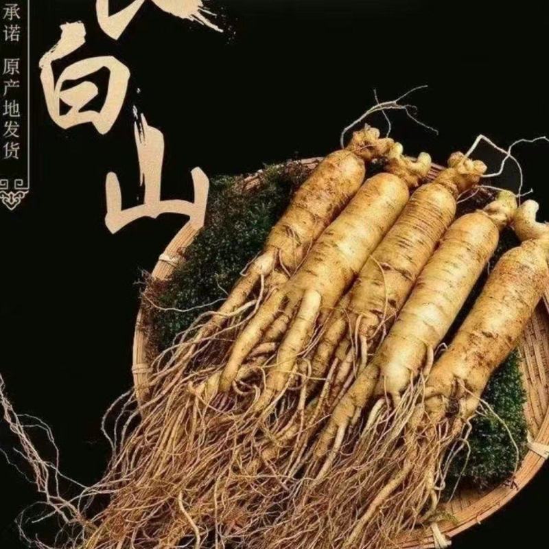 长白山微残参，大中小规格，支持线上保障交易