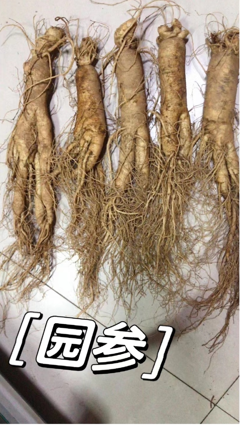 长白山微残参，大中小规格，支持线上保障交易