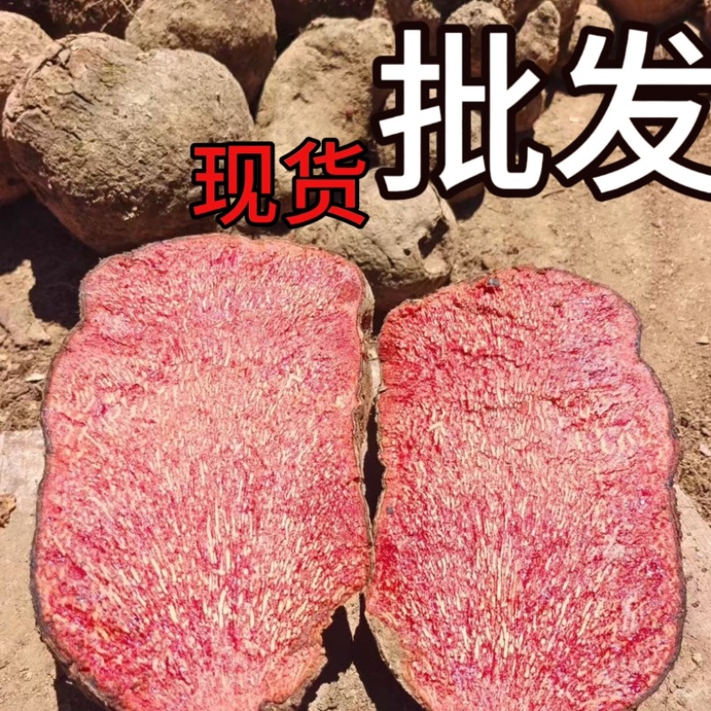 薯莨红薯莨染布莲朱砂莲红孩儿红药子