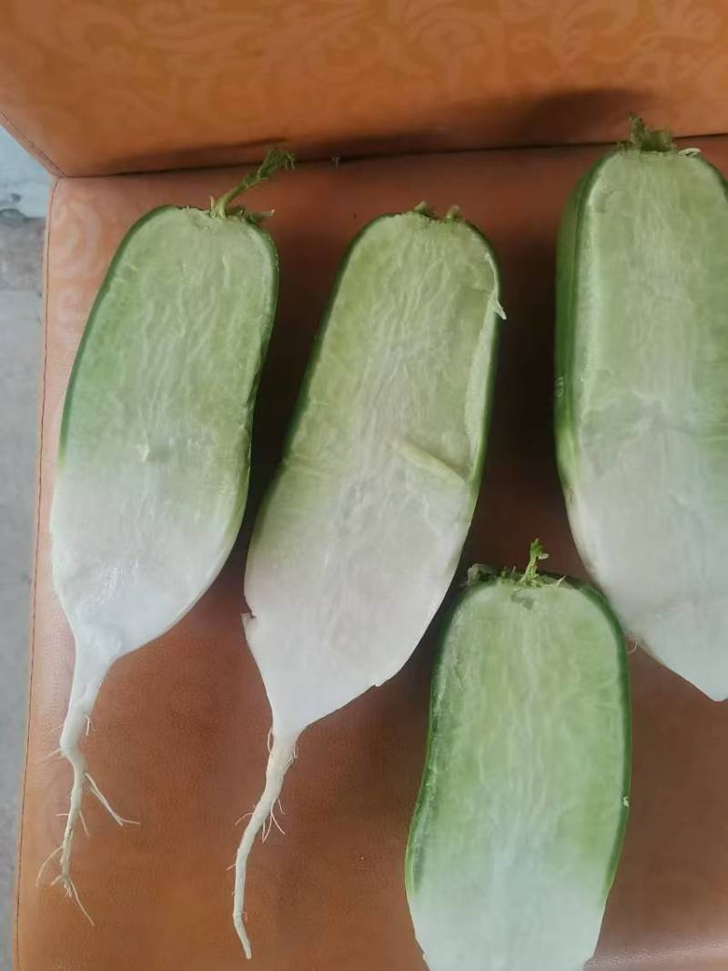 萝卜大量现货