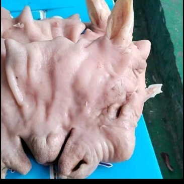 无骨全熟羊脸肉/纯白适合卤炖羊汤锅使用/