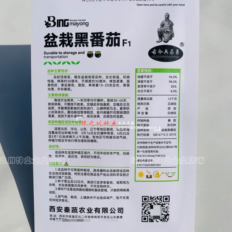 盆栽黑番茄种子特矮小番茄种子矮生小西红柿种籽观赏食用两用