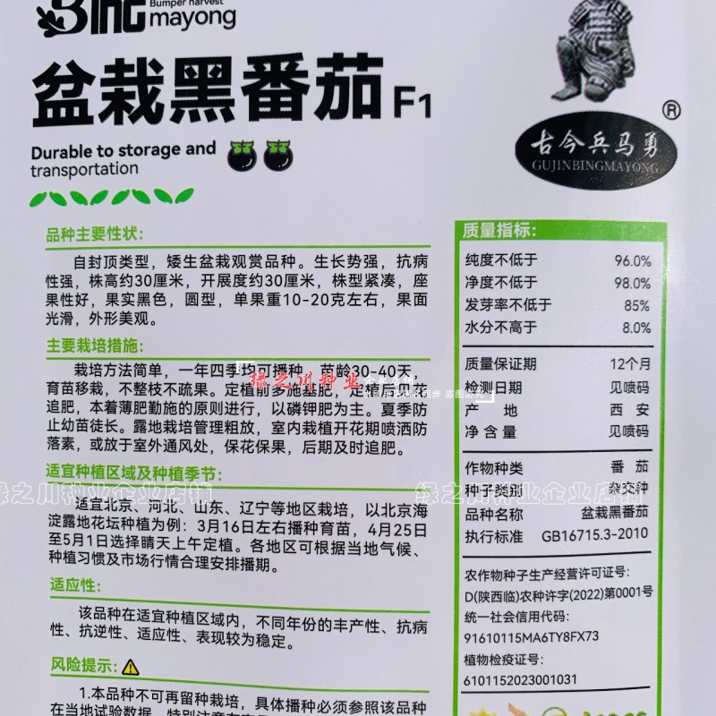 盆栽黑番茄种子特矮小番茄种子矮生小西红柿种籽观赏食用两用