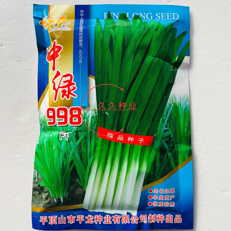 中绿998韭菜种子宽叶高产杂交不休眠韭菜种籽抗寒抗病