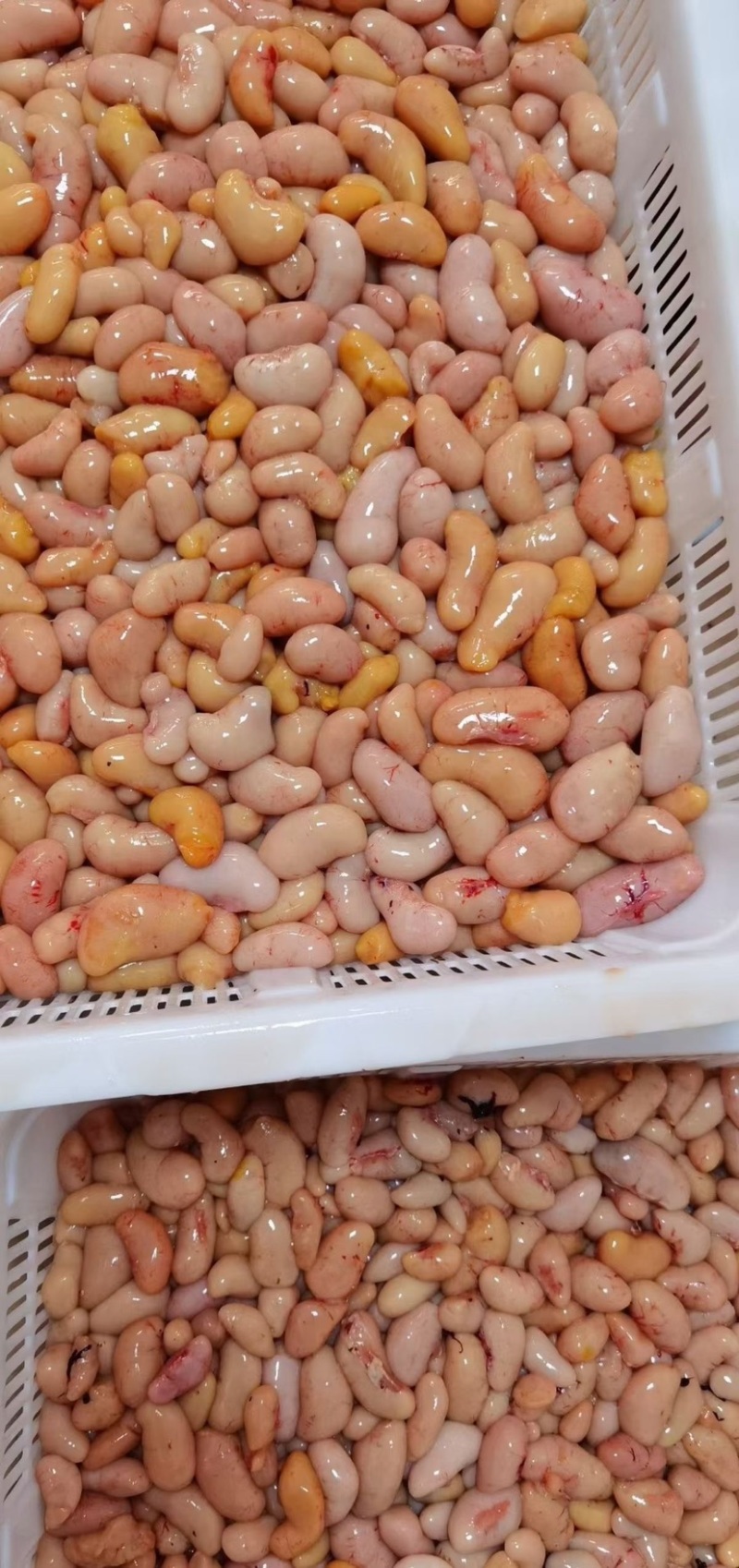 鸡腰子批发新鲜屠宰场每天供应优质欢迎光临