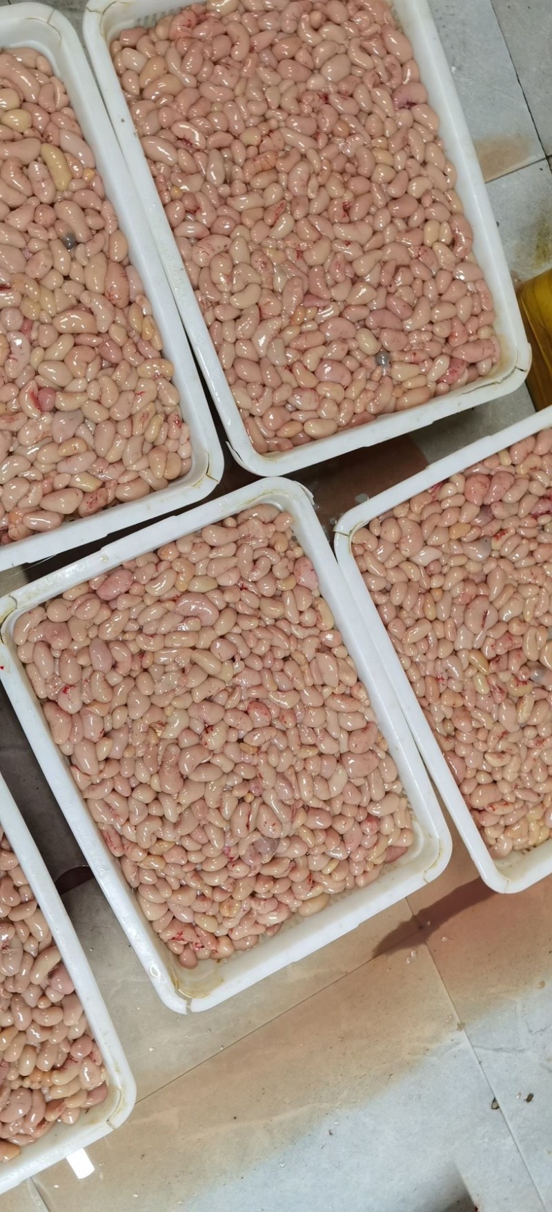 鸡腰子批发新鲜屠宰场每天供应优质欢迎光临
