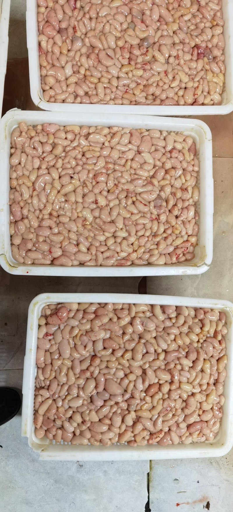 鸡腰子批发新鲜屠宰场每天供应优质欢迎光临