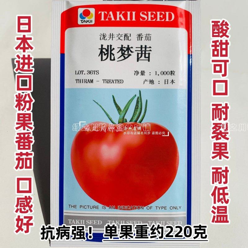 桃梦茜番茄种子日本进口泷井番茄种子酸甜可口粉红西红柿种子