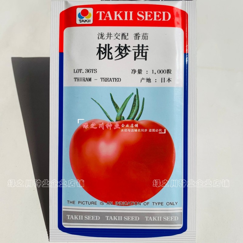 桃梦茜番茄种子日本进口泷井番茄种子酸甜可口粉红西红柿种子
