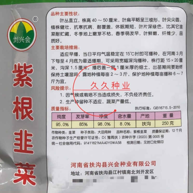紫根韭菜种子红根宽叶韭菜籽多年生四季阳台盆栽收多次蔬菜种