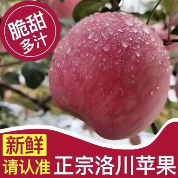 洛川红富士苹果