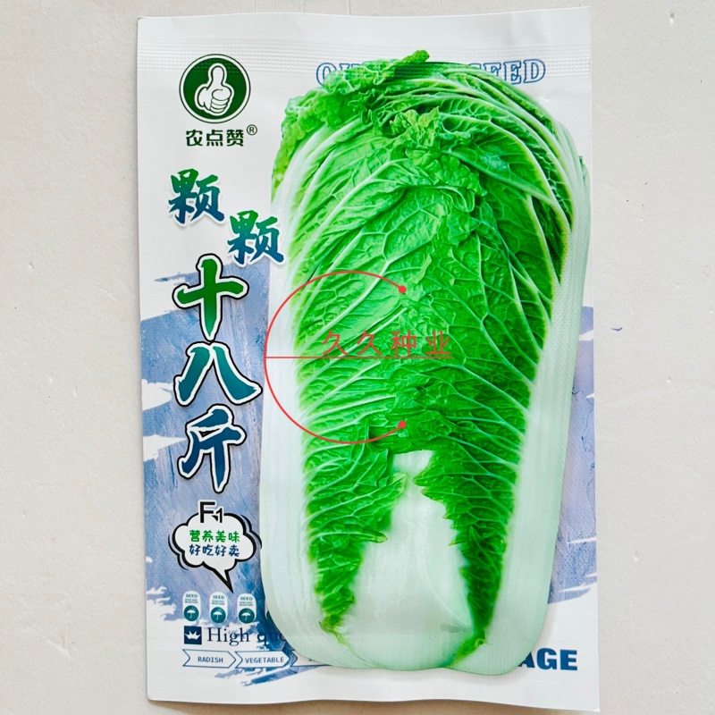 颗颗十八斤大白菜种子山东白菜籽大白菜高产包心白菜蔬菜种子